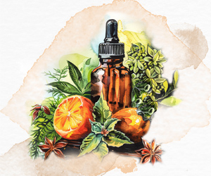 Essential Oil Blends Essential Oil Blends