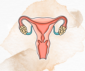 Female Wellness Female Wellness