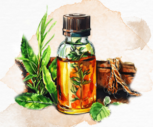 Oils Oils