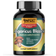 Agaricus Blazei (Agaricus blazei Murill) Mushroom Extract, 90ct Agaricus Blazei (Agaricus blazei Murill) Mushroom Extract, 90ct