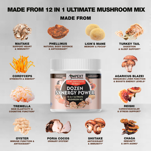 12-IN-1 Dozen Synergy Power™ Mushroom Extract, 100g 12-IN-1 Dozen Synergy Power™ Mushroom Extract, 100g