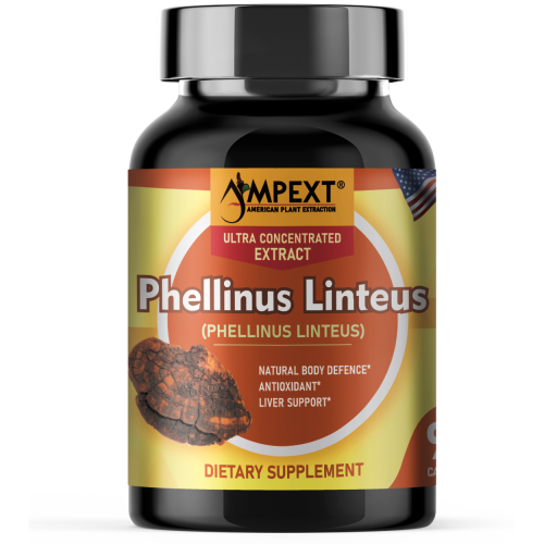 Black Hoof (Phellinus linteus) Mushroom Extract, 90ct Black Hoof (Phellinus linteus) Mushroom Extract, 90ct