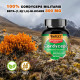 Cordyceps (Cordyceps sinensis) Mushroom Extract, 90ct Cordyceps (Cordyceps sinensis) Mushroom Extract, 90ct