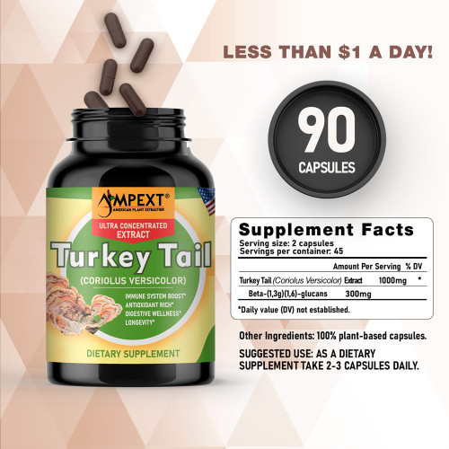 Turkey Tail (Trametes versicolor) Mushroom Extract, 90ct Turkey Tail (Trametes versicolor) Mushroom Extract, 90ct