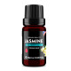 Jasmine (Jasminum officinale) 100% Essential Oil, Premium Grade, 10ml Jasmine (Jasminum officinale) 100% Essential Oil, Premium Grade, 10ml