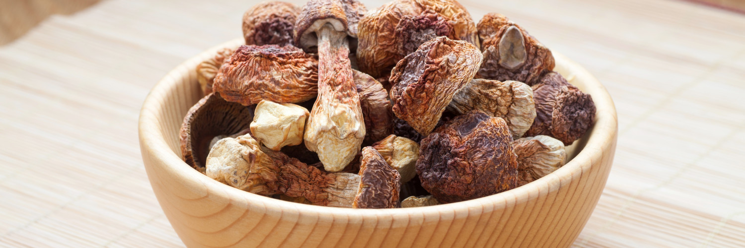 AGARICUS BLAZEI: SUPPORT FOR WELLNESS AND BALANCE AGARICUS BLAZEI: SUPPORT FOR WELLNESS AND BALANCE