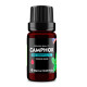 Camphor (Cinnamomum camphora) 100% Essential Oil, Premium Grade, 10ml Camphor (Cinnamomum camphora) 100% Essential Oil, Premium Grade, 10ml