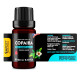Copaiba (Copaifera officinalis) 100% Essential Oil, Premium Grade, 10ml Copaiba (Copaifera officinalis) 100% Essential Oil, Premium Grade, 10ml