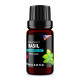Basil (Ocimum basilicum) 100% Essential Oil, Premium Grade, 10ml Basil (Ocimum basilicum) 100% Essential Oil, Premium Grade, 10ml