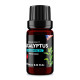 Eucalyptus (Eucalyptus globulus) 100% Essential Oil, Premium Grade, 10ml Eucalyptus (Eucalyptus globulus) 100% Essential Oil, Premium Grade, 10ml