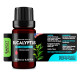 Eucalyptus (Eucalyptus globulus) 100% Essential Oil, Premium Grade, 10ml Eucalyptus (Eucalyptus globulus) 100% Essential Oil, Premium Grade, 10ml