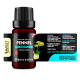 Fennel (Foeniculum vulgare) 100% Essential Oil, Premium Grade, 10ml Fennel (Foeniculum vulgare) 100% Essential Oil, Premium Grade, 10ml