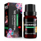 Gingerbread Premium Fragrance Oil, 10ml Gingerbread Premium Fragrance Oil, 10ml