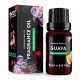 Guava Premium Fragrance Oil, 10ml Guava Premium Fragrance Oil, 10ml