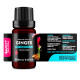 Ginger (Zingiber officinale) 100% Essential Oil, Premium Grade, 10ml Ginger (Zingiber officinale) 100% Essential Oil, Premium Grade, 10ml