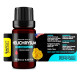 Helichrysum (Helichrysum italicum) 100% Essential Oil, Premium Grade, 10ml Helichrysum (Helichrysum italicum) 100% Essential Oil, Premium Grade, 10ml