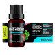 Pine Needles (Pinus sylvestris) 100% Essential Oil, Premium Grade, 10ml Pine Needles (Pinus sylvestris) 100% Essential Oil, Premium Grade, 10ml