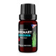 Rosemary (Rosmarinus officinalis) 100% Essential Oil, Premium Grade, 10ml Rosemary (Rosmarinus officinalis) 100% Essential Oil, Premium Grade, 10ml