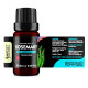 Rosemary (Rosmarinus officinalis) 100% Essential Oil, Premium Grade, 10ml Rosemary (Rosmarinus officinalis) 100% Essential Oil, Premium Grade, 10ml
