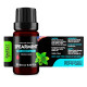 Spearmint (Mentha spicata) 100% Essential Oil, Premium Grade, 10ml Spearmint (Mentha spicata) 100% Essential Oil, Premium Grade, 10ml
