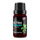Tea Tree (Melaleuca alternifolia) 100% Essential Oil, Premium Grade, 10ml Tea Tree (Melaleuca alternifolia) 100% Essential Oil, Premium Grade, 10ml